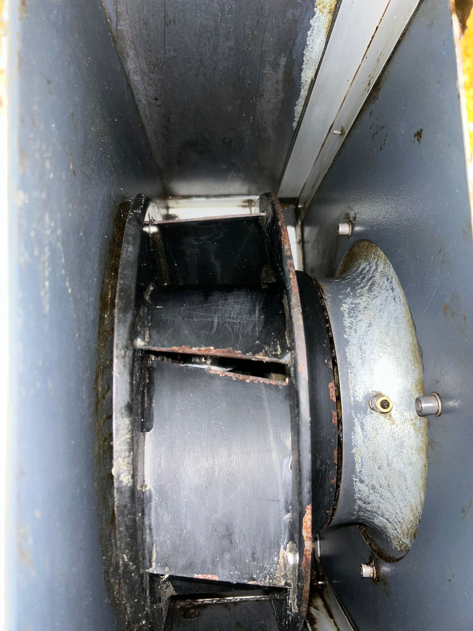 TR19 Cleaning